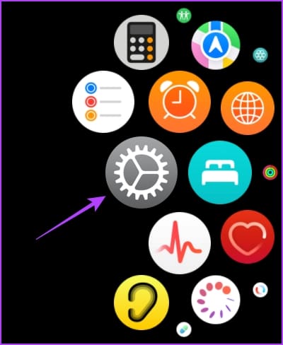 Open Settings on Apple Watch 1