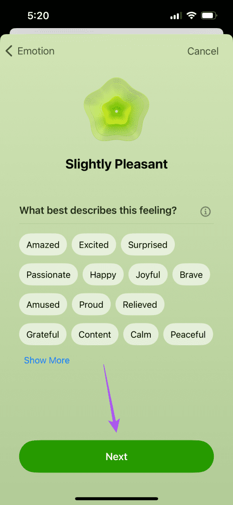 describe feelings mental wellbeing iPhone