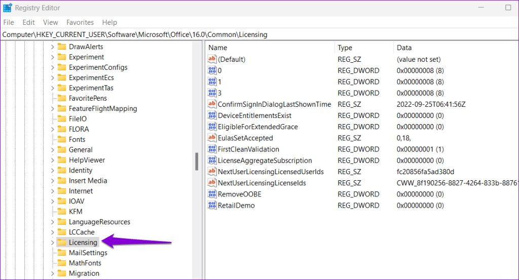 Licensing Key in Registry Editor